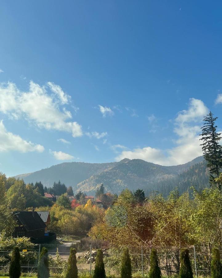Strada Tiszas Vacation House Бъйле Тушнад Екстериор снимка